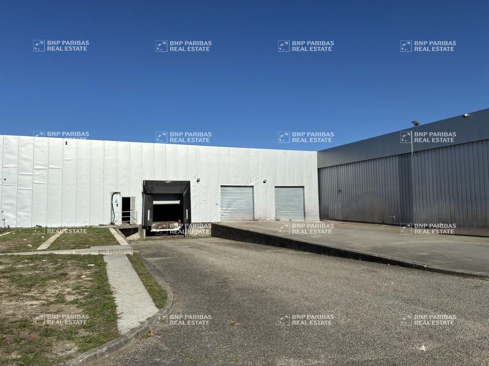 Location Activité 2490 m² divisibles 33610 Cestas