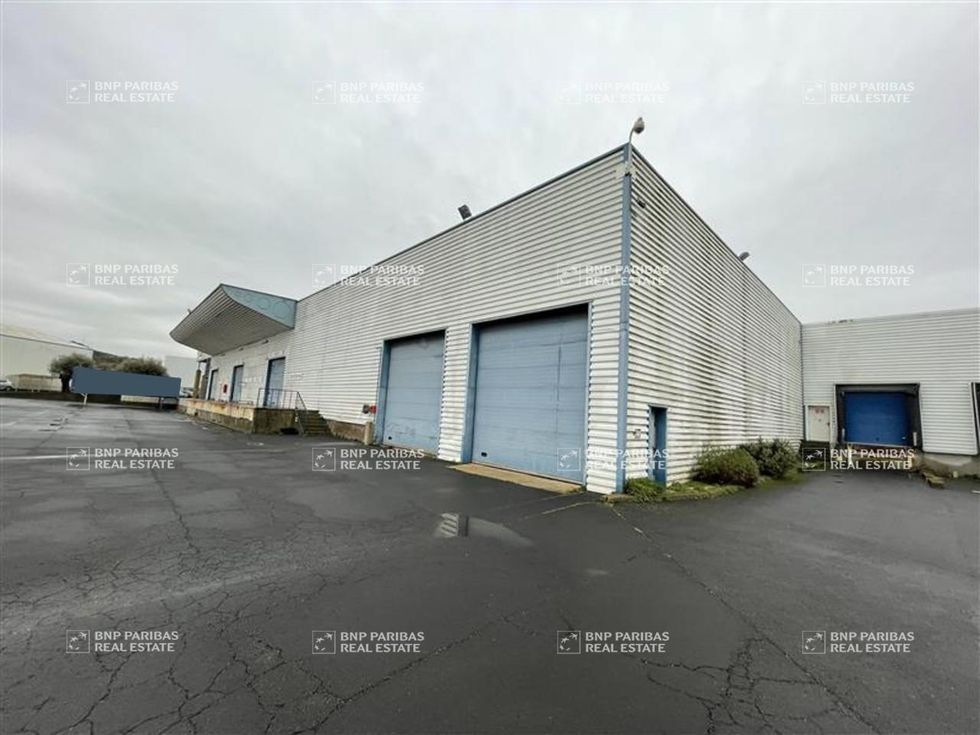Location Activité 1528 m² non divisibles 34630 Saint-thibéry