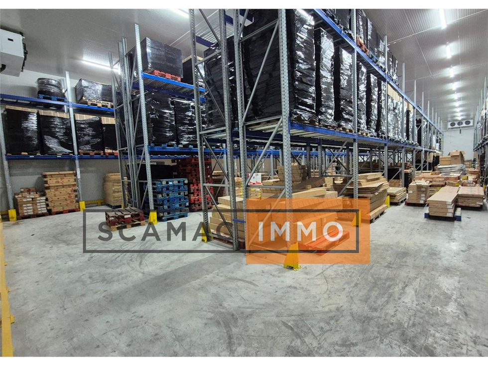 Entrepôt frigorifique de 117m²