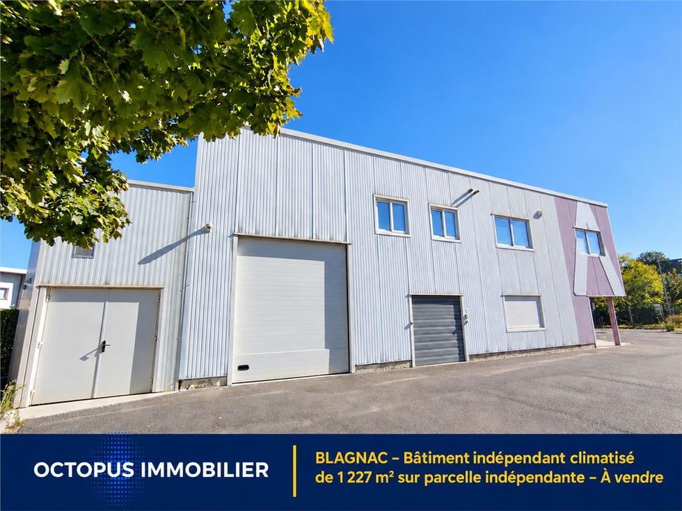À Blagnac, bâtiment indépendant à vendre de 1 227