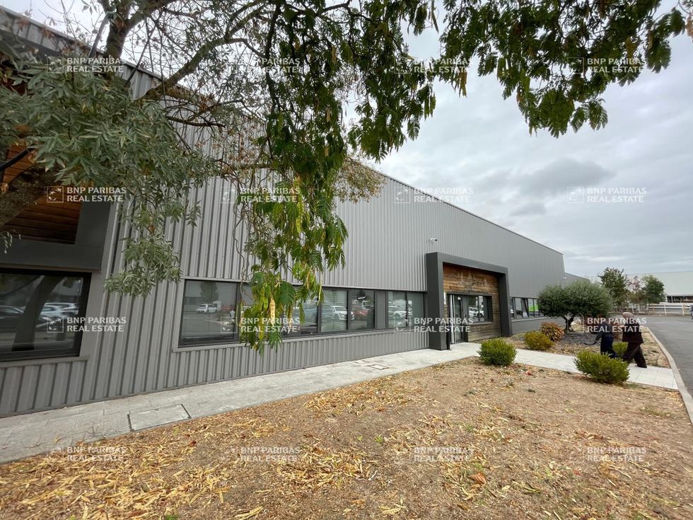 Location Activité 2213 m² non divisibles 31100 Toulouse