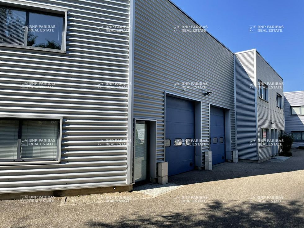 204.5 m² pour ce activité en location à Eckbolsheim