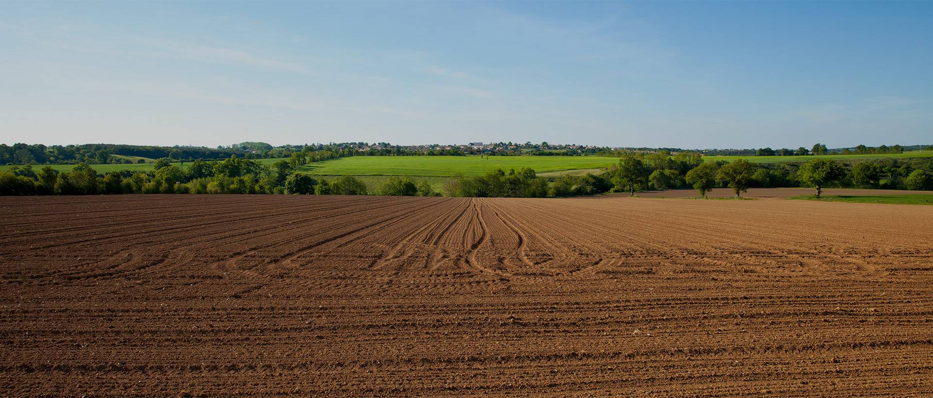 Geolocaux - Terrains à louer ou vendre
