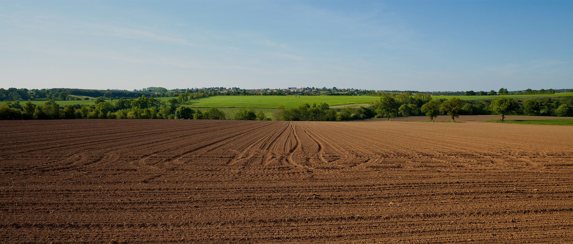 Geolocaux - Terrains à louer ou vendre