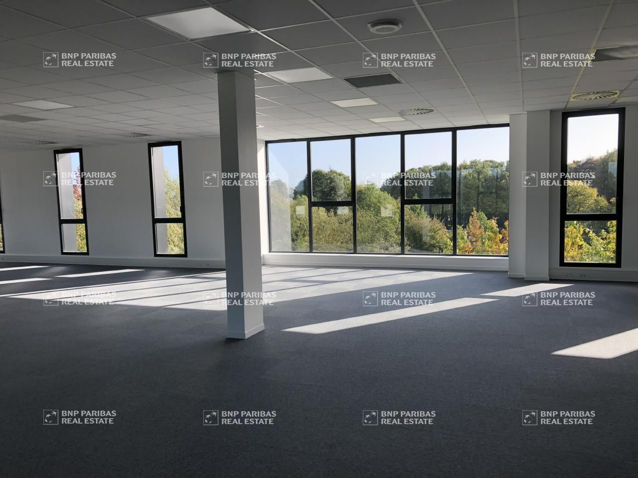 3391.45 m² pour ce bureaux en location à Saint-grégoire