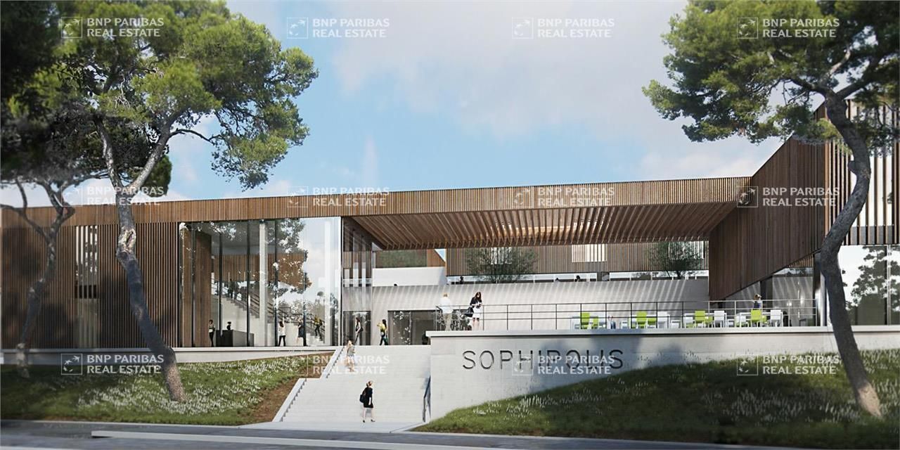 Location Bureaux 5305 m² divisibles 06220 Vallauris