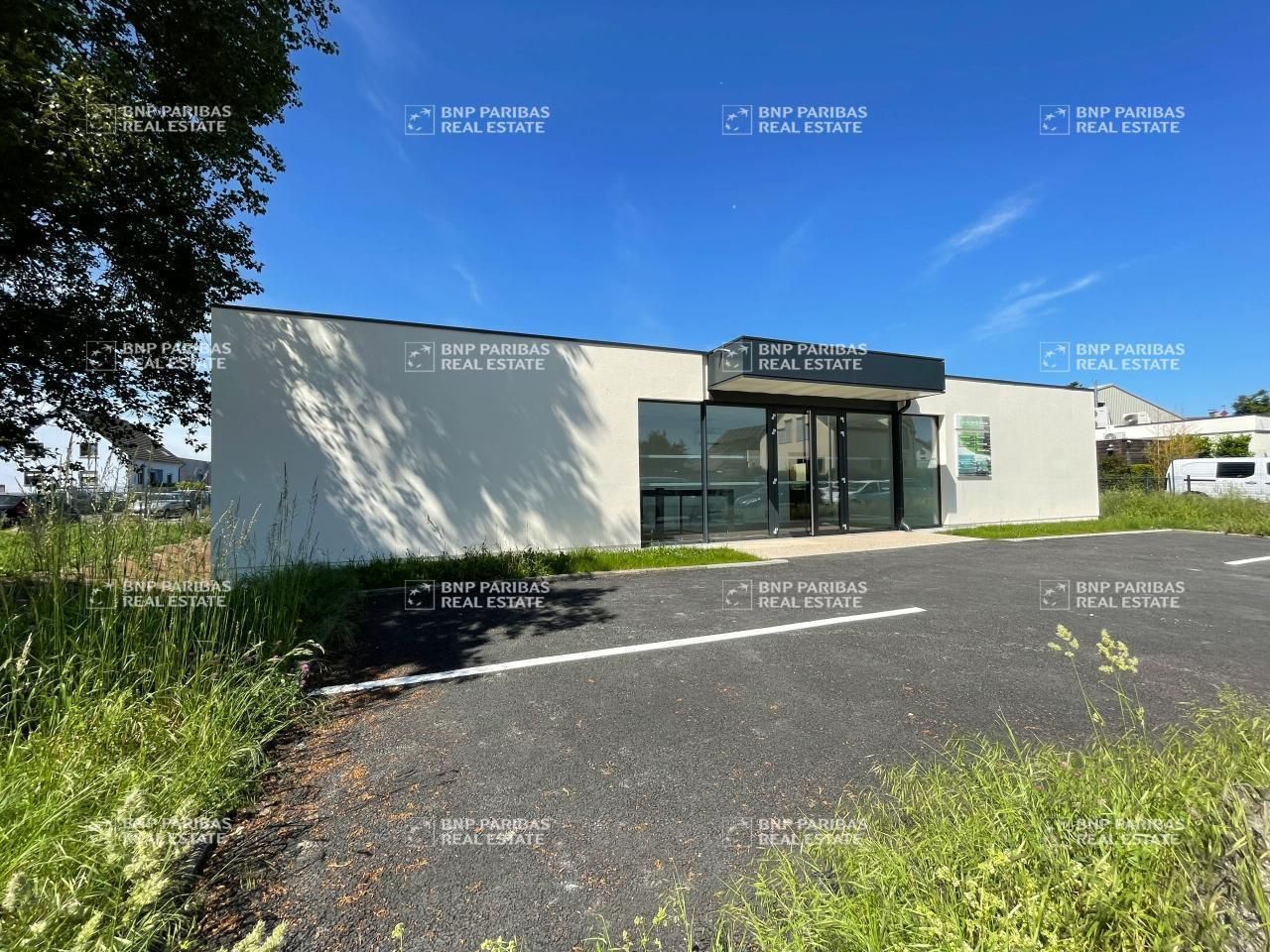 Location bureaux à Illkirch-graffenstaden 67400