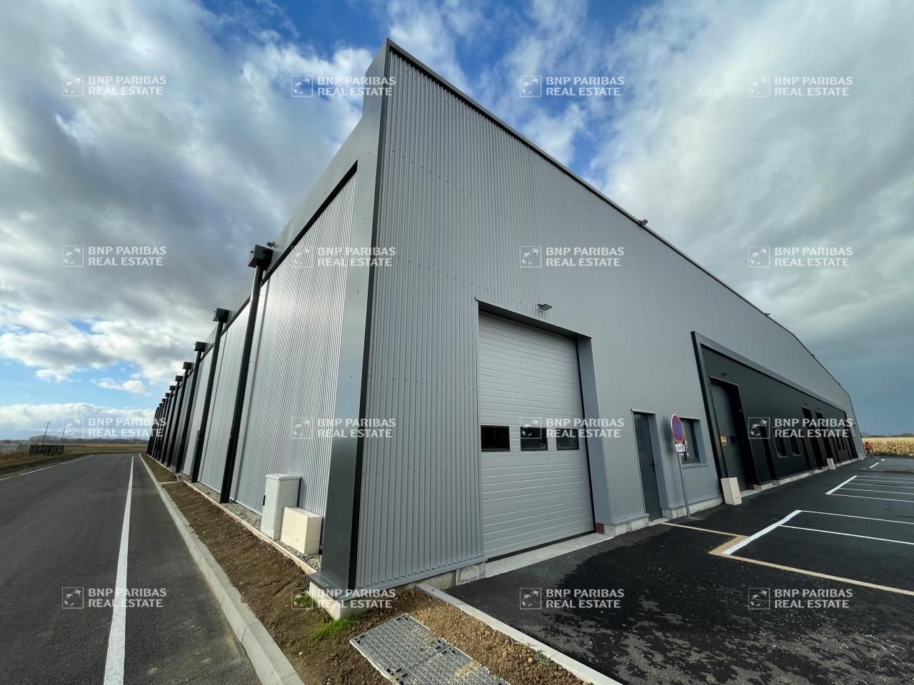 7166.1 m² pour ce activité en vente à Fegersheim