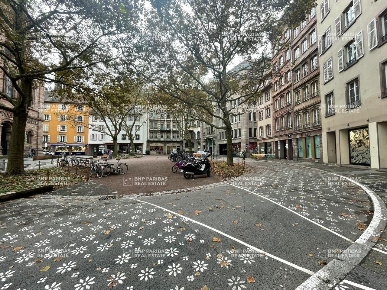 Location Bureaux 145 m² non divisibles 67000 Strasbourg