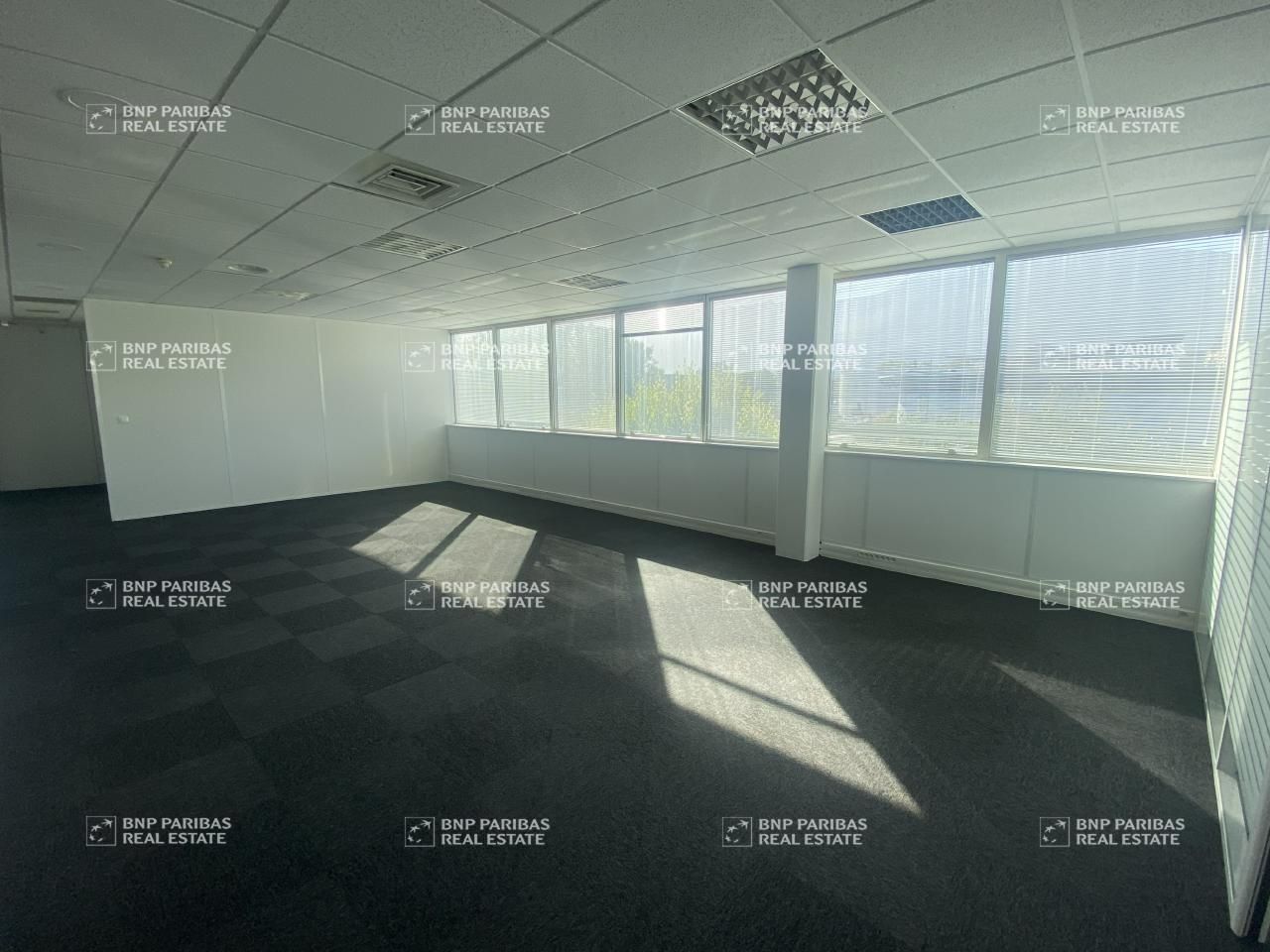 Location bureaux à Grenoble 38100