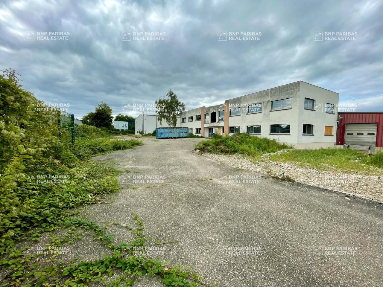 Location Activité 7122 m² divisibles 67118 Geispolsheim