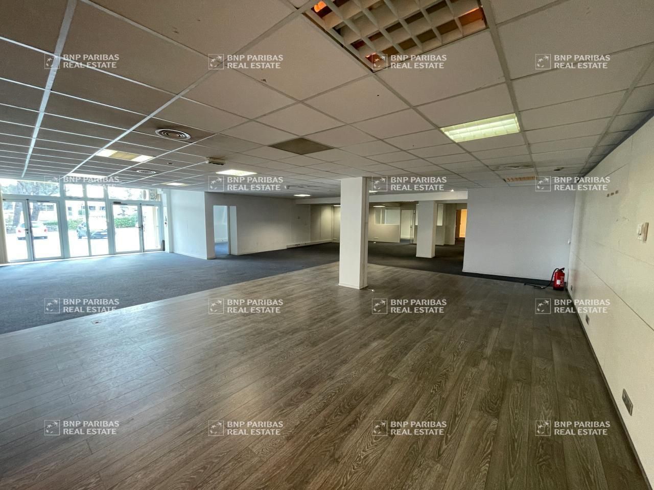 Location activité à Sophia antipolis 06560