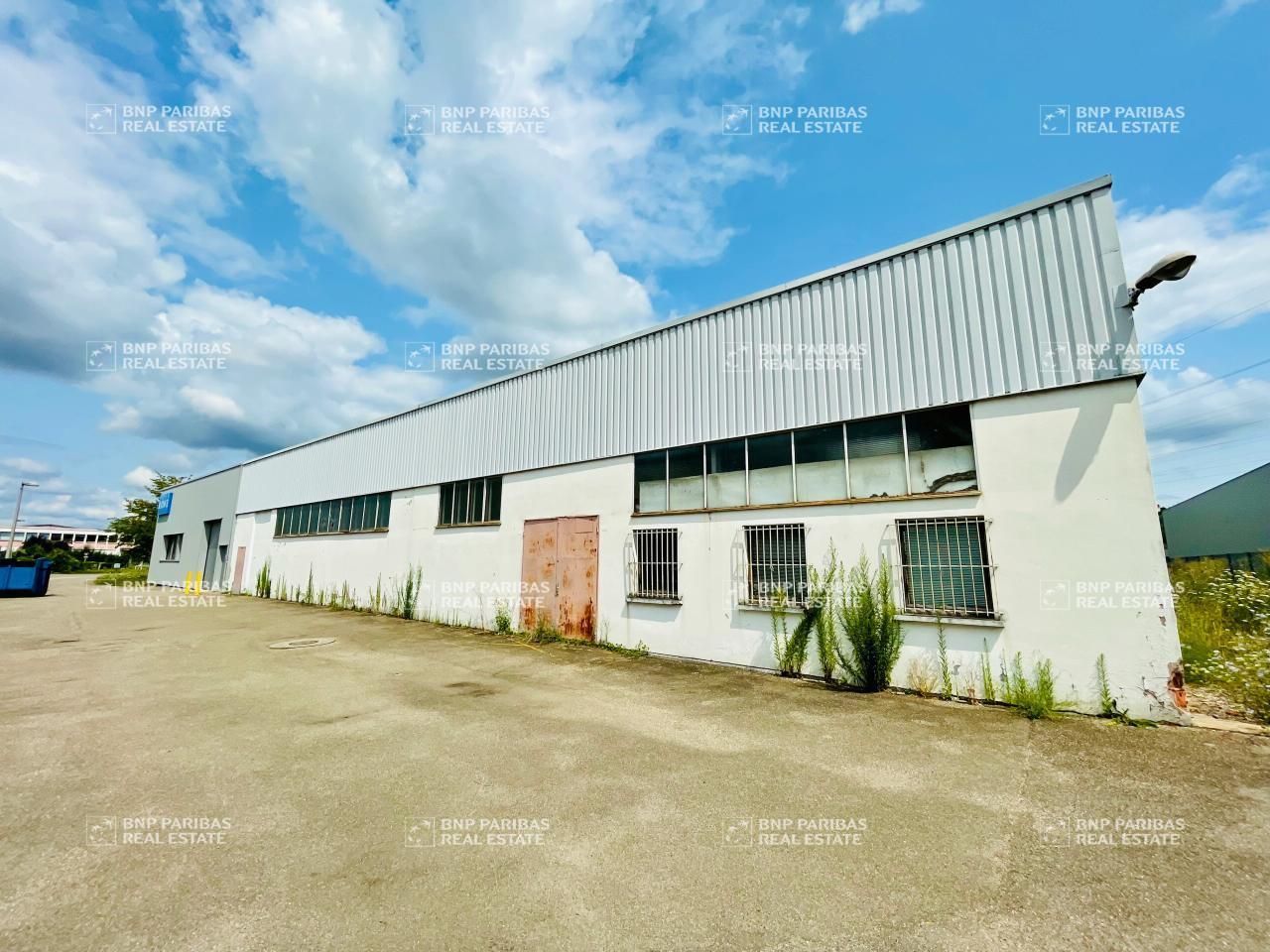 Location Activité 3550 m² divisibles 67118 Geispolsheim