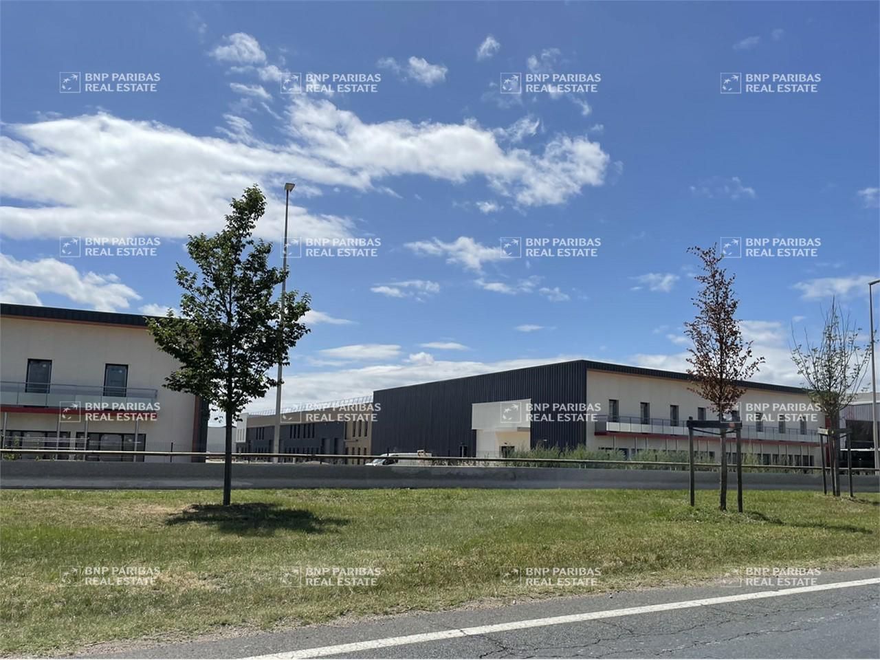 Location Activité 328.5 m² divisibles 69730 Genay