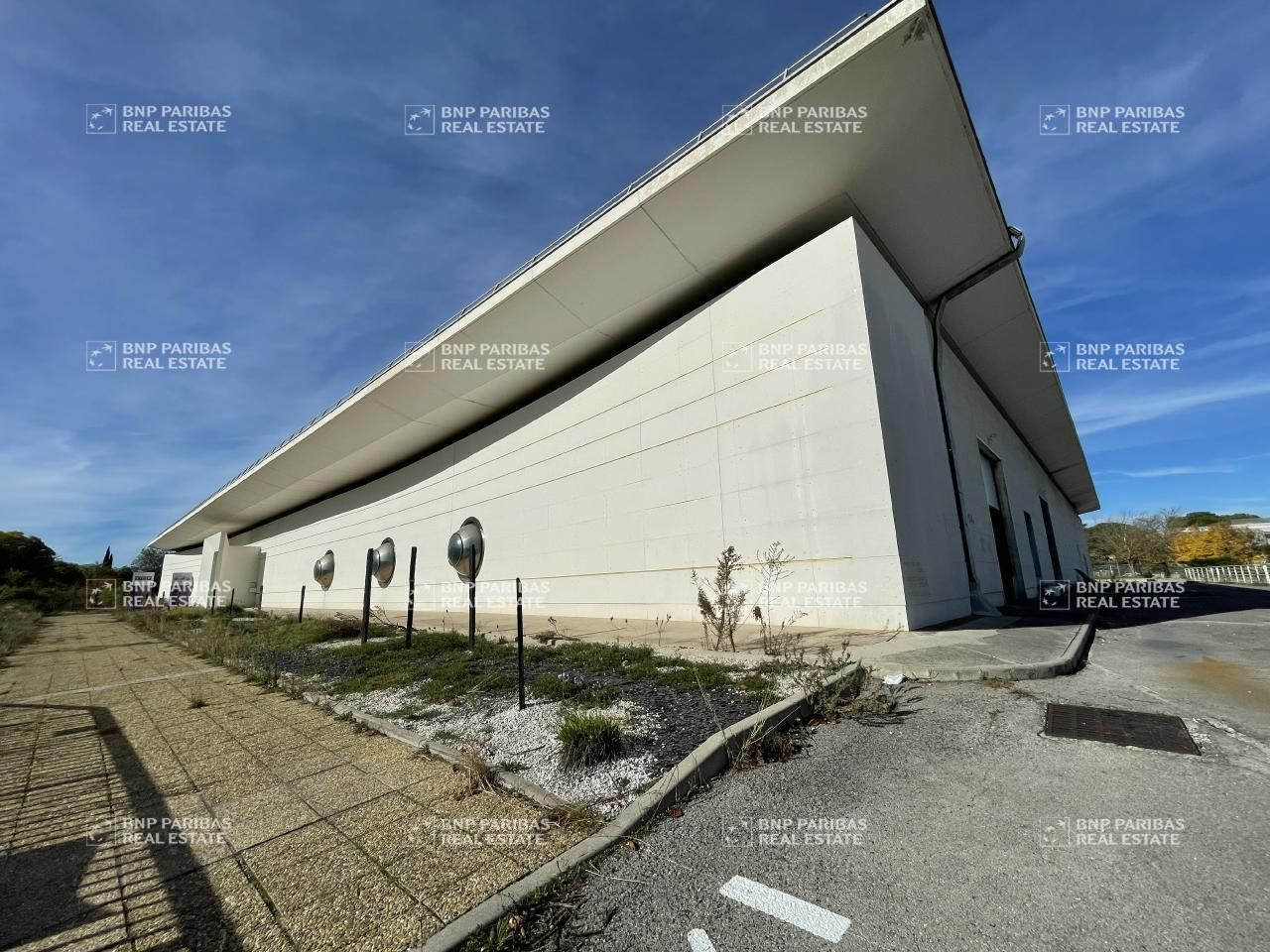 Vente Activité 5082 m² non divisibles 34000 Montpellier