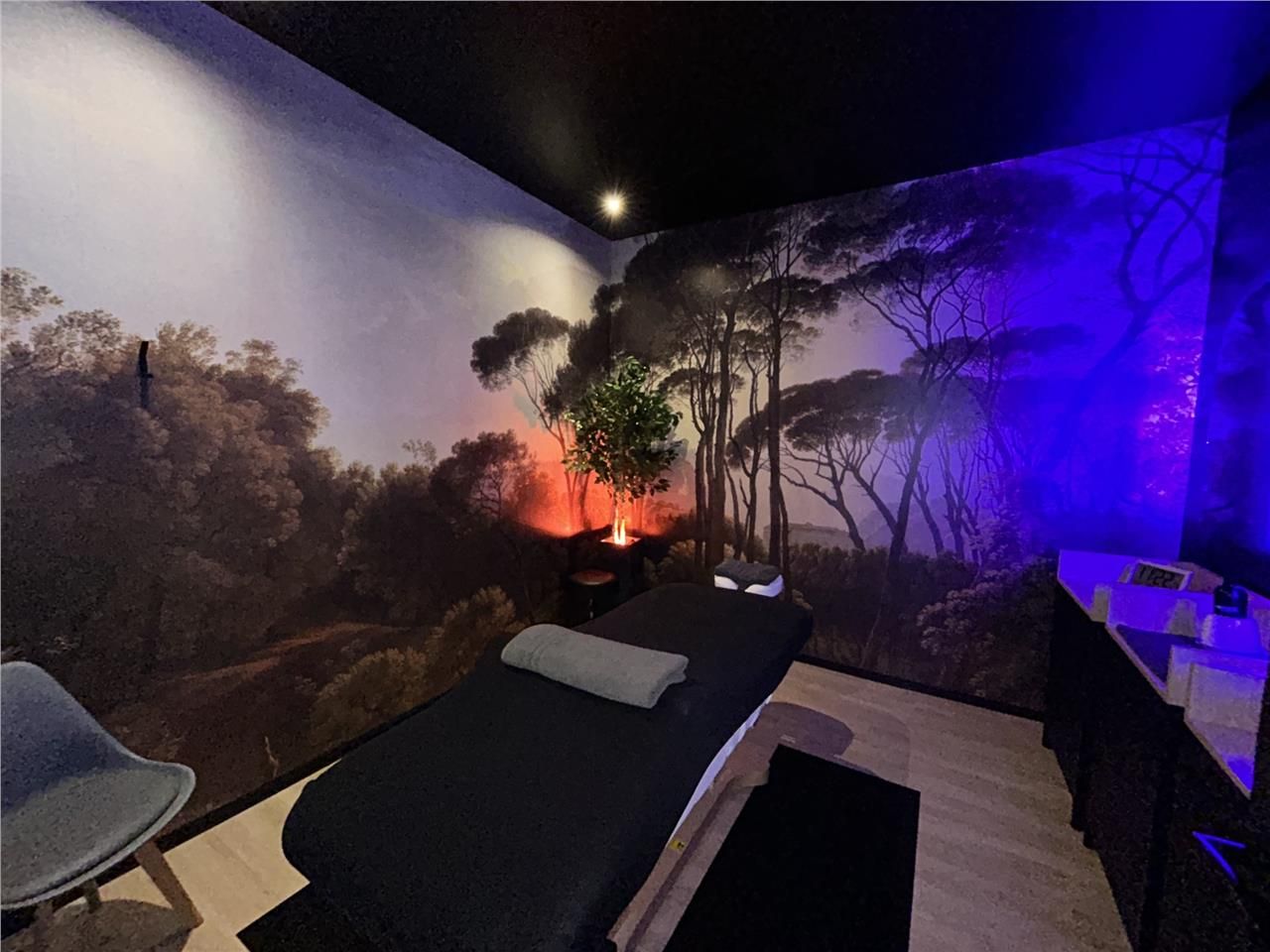 À louer  2 cabines bien-être insonorisées Saint-H