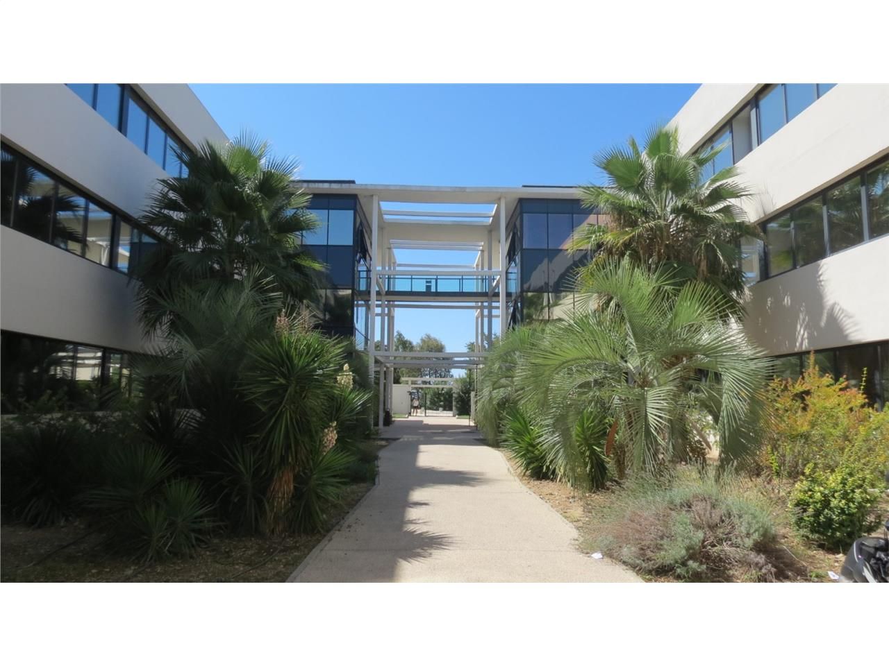 CBRE Montpellier vus propose à la location des bu