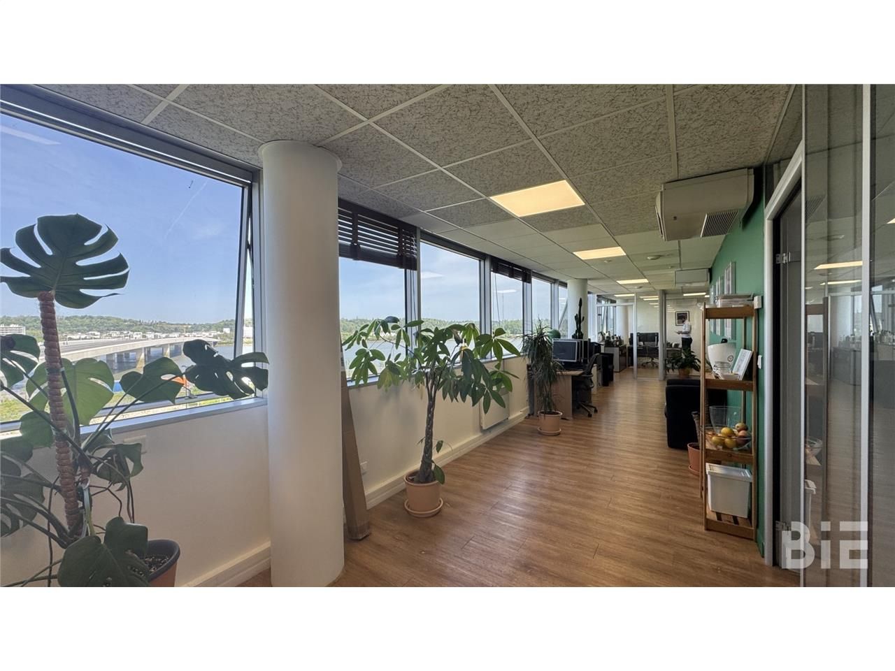 Face à la Garonne, au pied du nouveau pont Simone