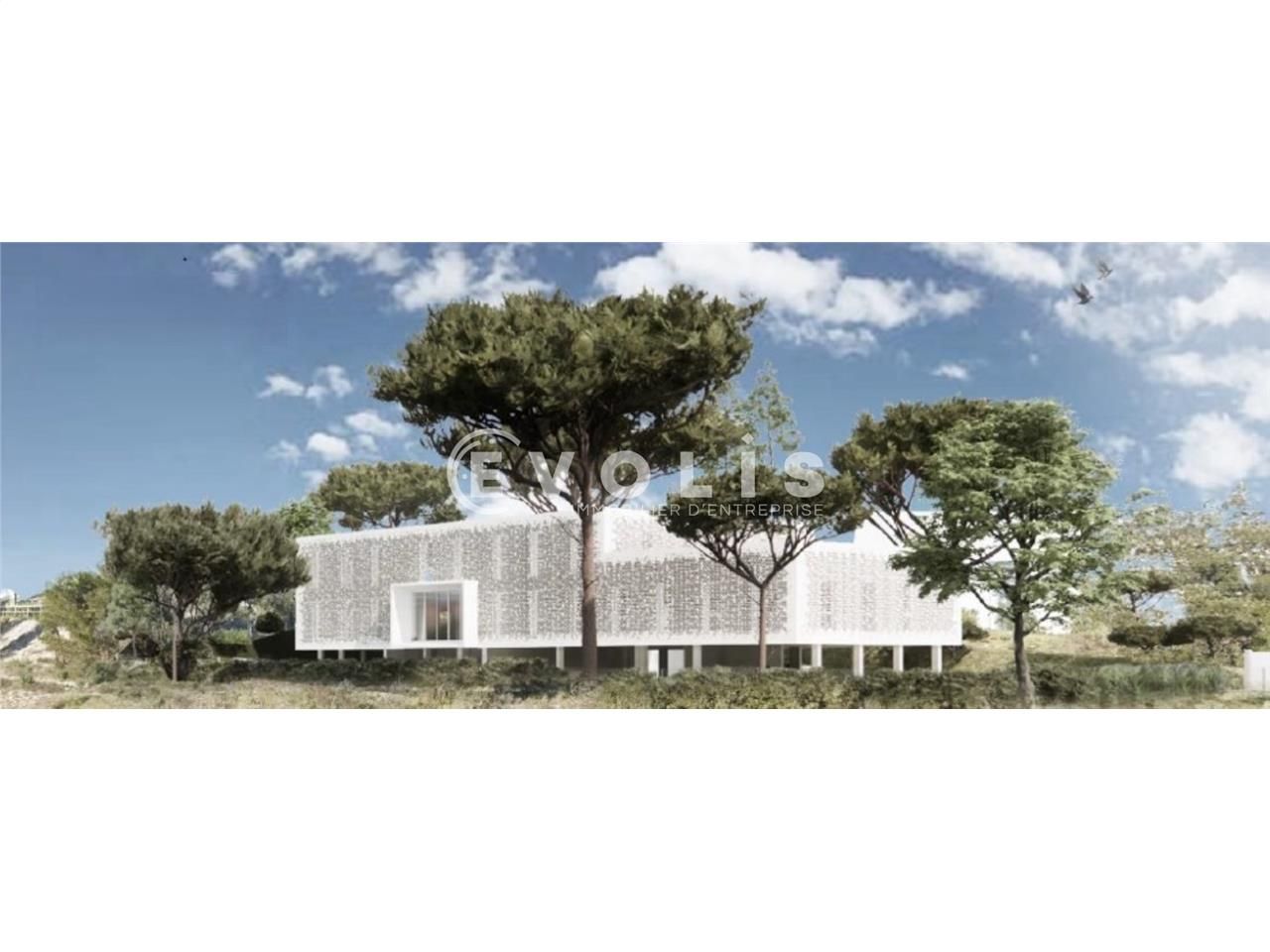 À la recherche de bureaux spacieux et fonctionnel