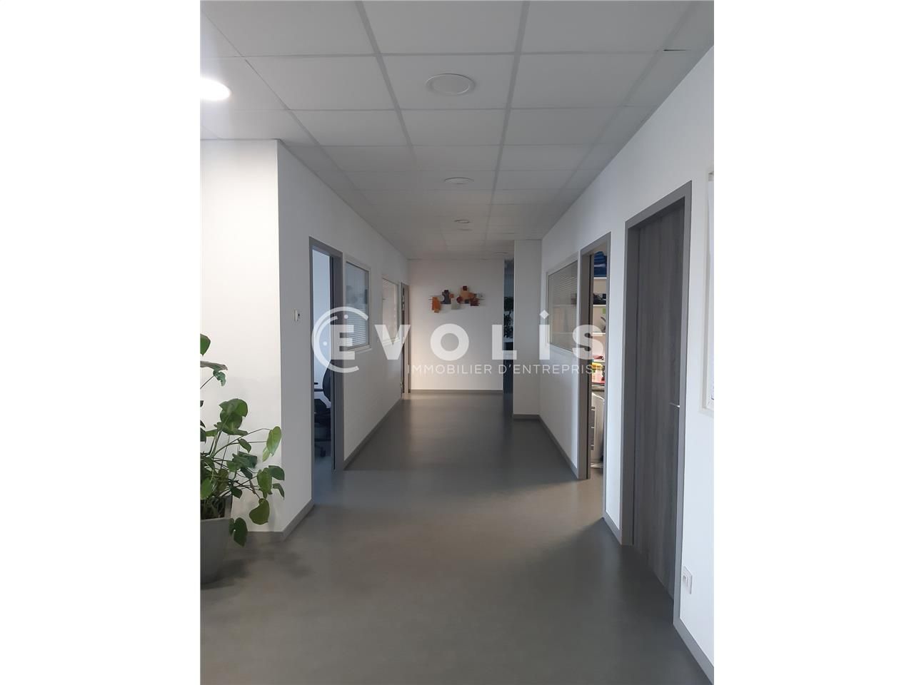 LOCATION - BUREAUX - 796 m²  Evolis Amiens vous p