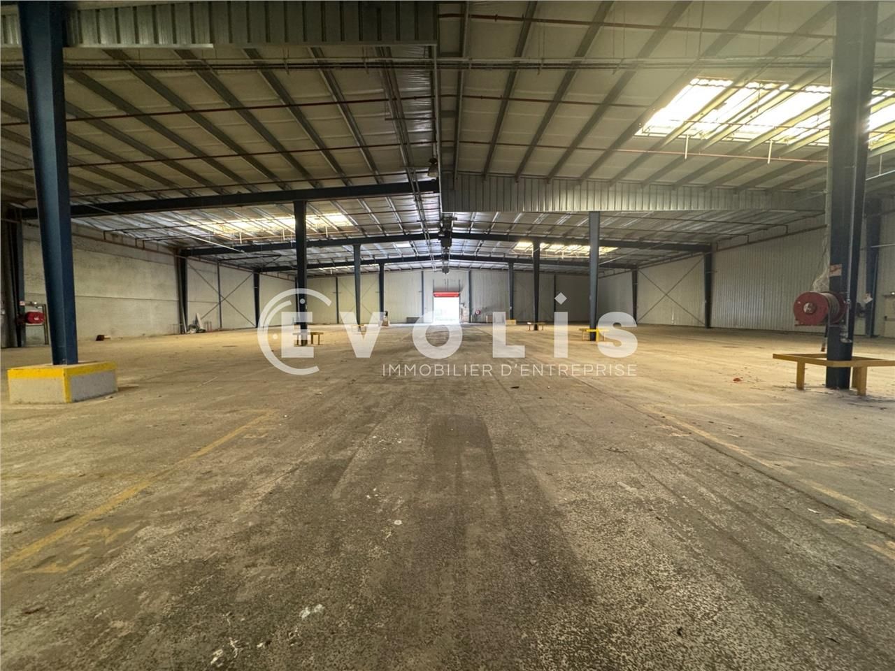 LOCATION - LOCAL D'ACTIVITE - 4 900 m²  Evolis Am