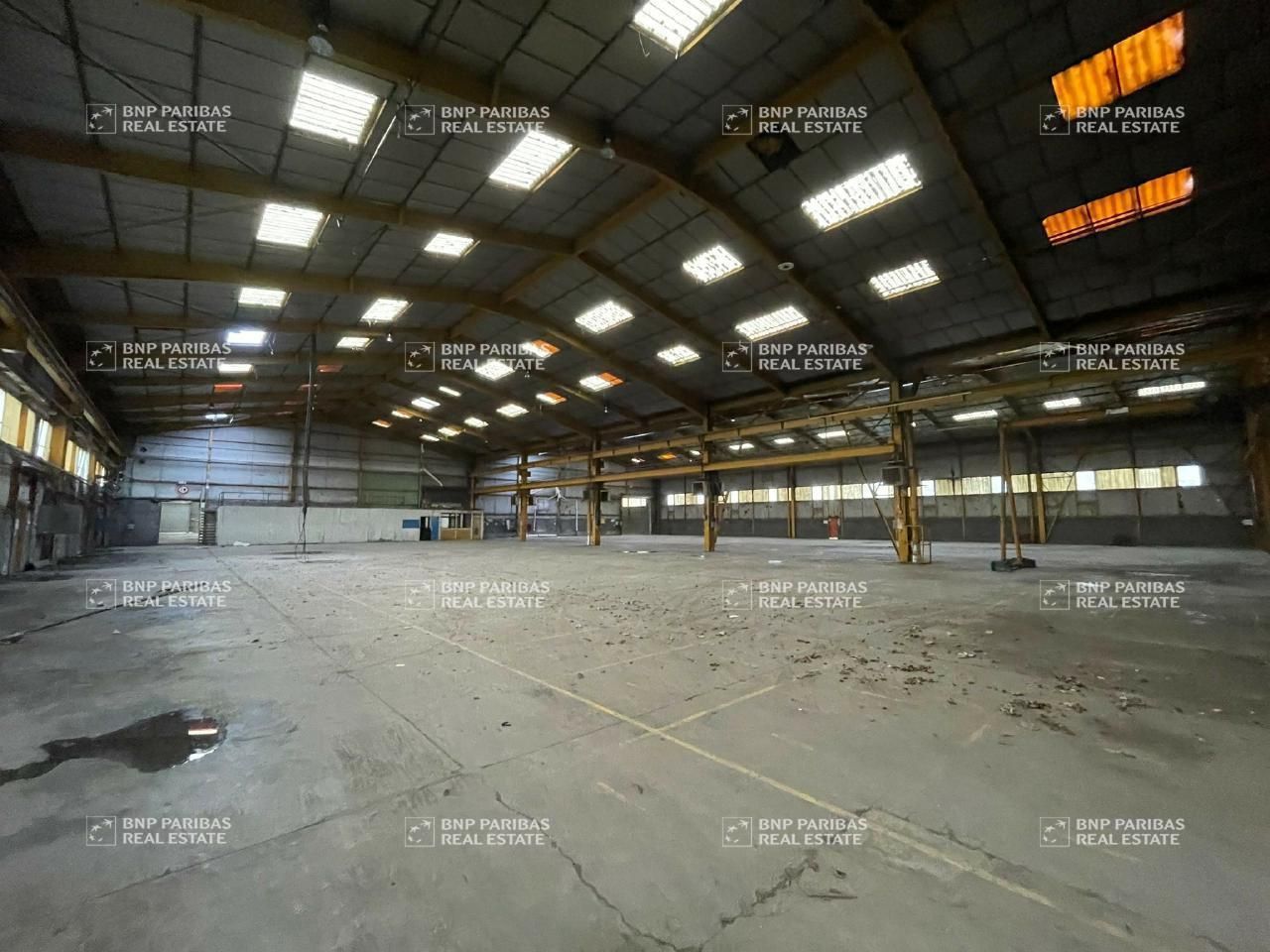 6500 m² pour ce activité en location à Saint-saulve