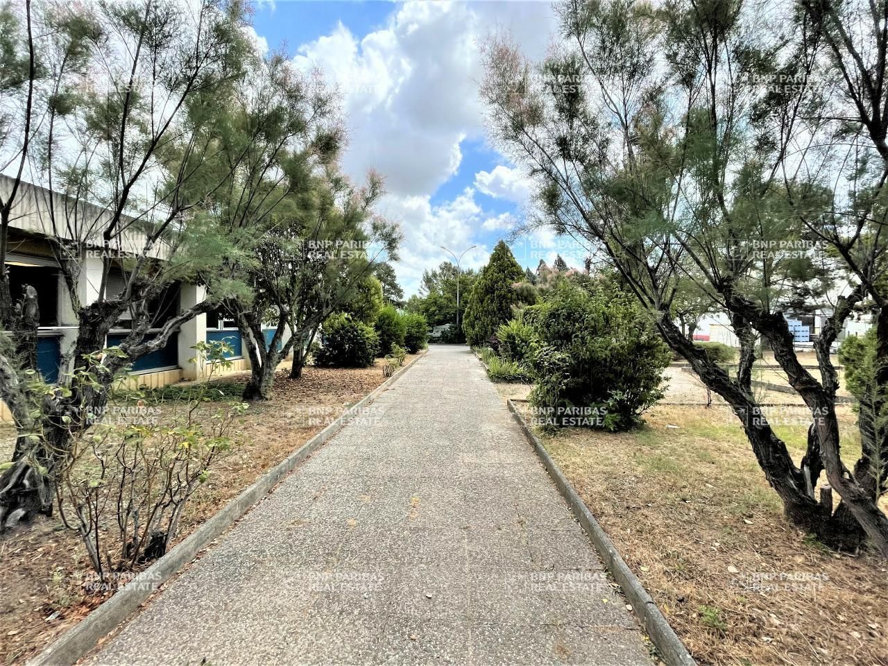 Location Bureaux 442 m² divisibles 13790 Rousset