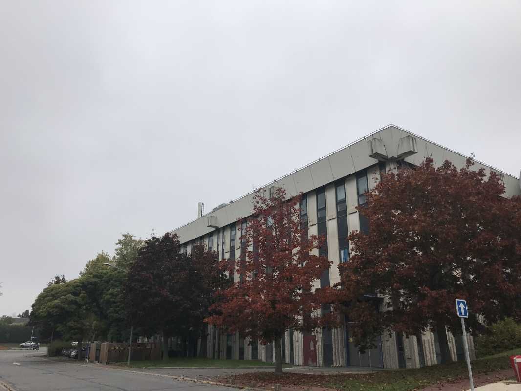 A louer, bureaux et activités à Rungis, au sein d