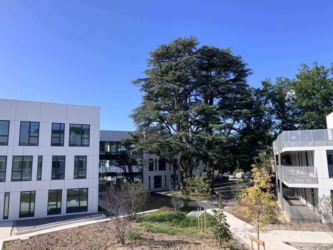 Cushman & Wakefield vous propose des bureaux à ve