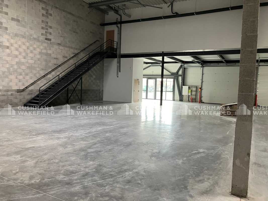 Rare dans la région des Alpes-de-Haute-Provence.