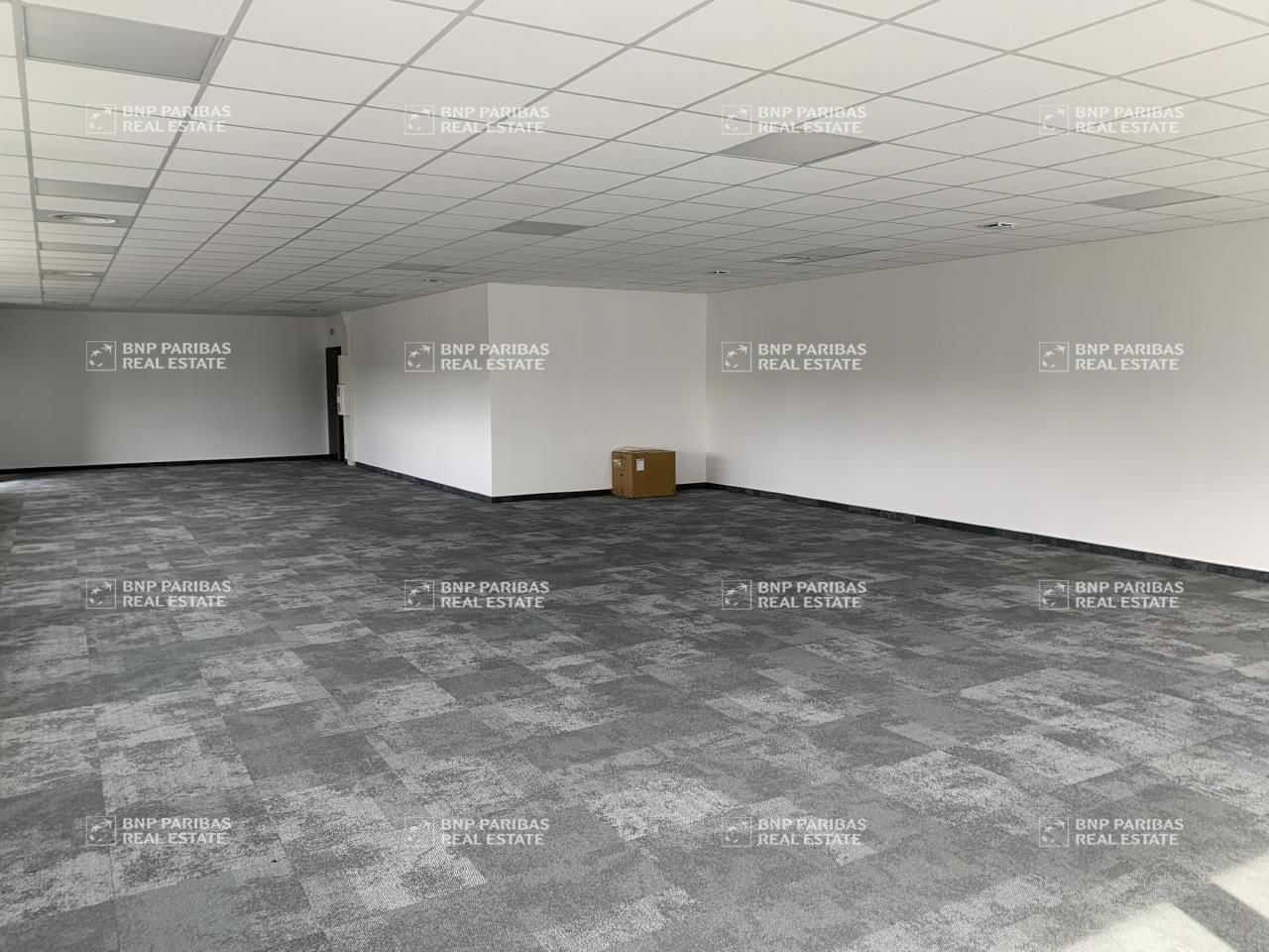 Location bureaux à Entzheim 67960