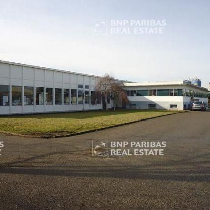 2500 m² pour ce activité en vente à Meyzieu