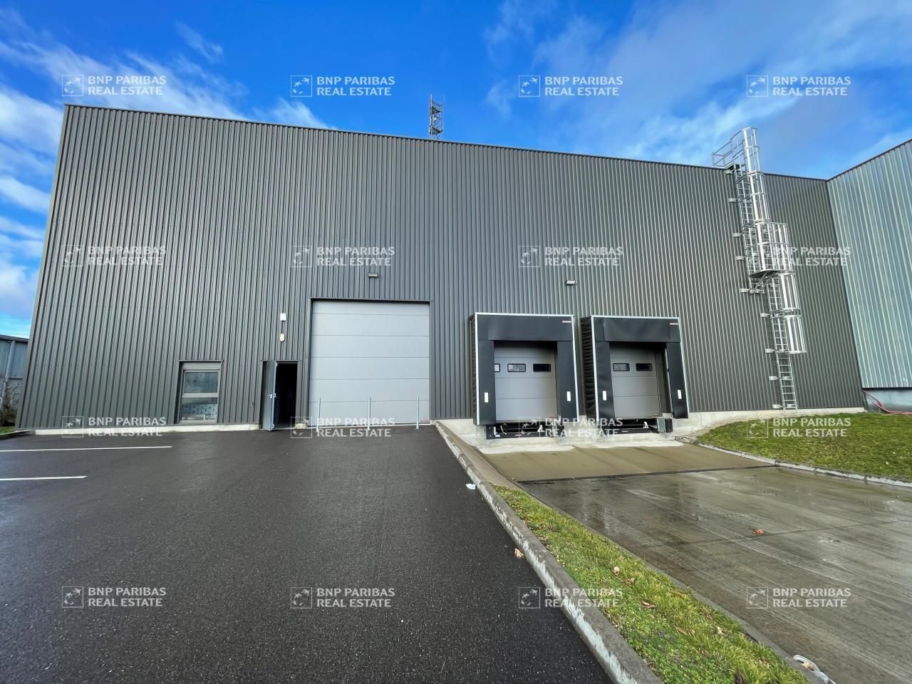 Location Activité 1931 m² non divisibles 67201 Eckbolsheim