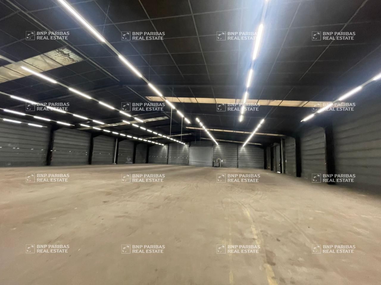 1656 m² pour ce activité en location à Douai