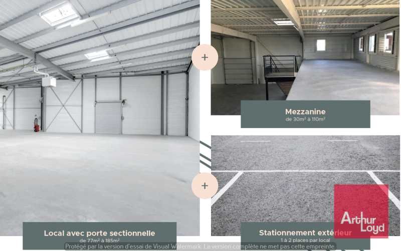 LOCATION - SAINT GEORGES D'ORQUES  Arthur Loyd Mo