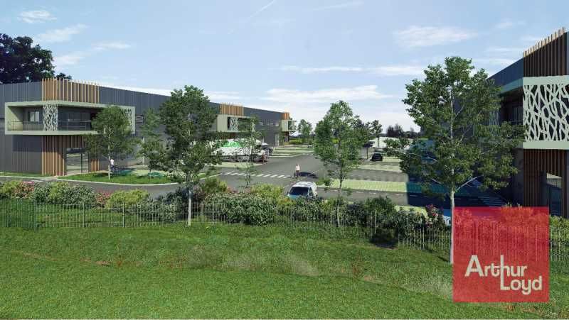 LOCATION - MAUGUIO  Arthur Loyd Montpellier vous 