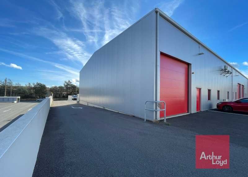 Arthur Loyd vous propose en Exclusivité à Narbonn