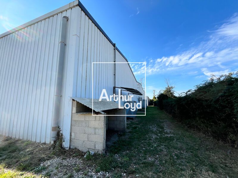 Découvrez ce local d'activité de 390 m² à louer à