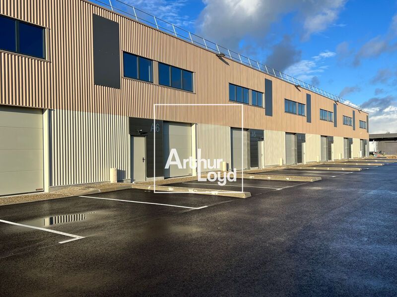 CELLULES NEUVES - MONTAUBAN  ARTHUR LOYD Toulouse