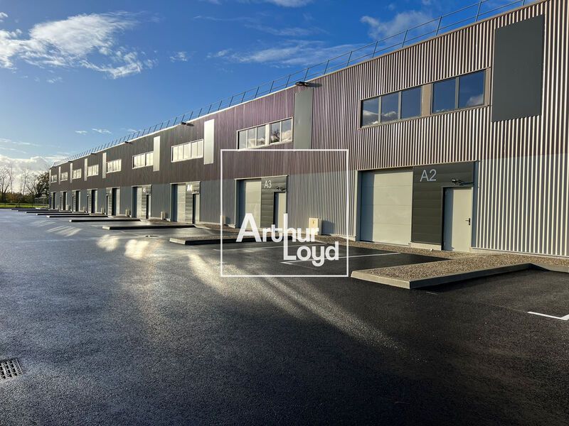 CELLULES NEUVES - MONTAUBAN  ARTHUR LOYD Toulouse