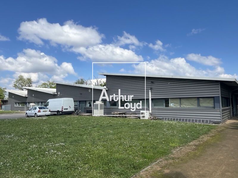 TOULOUSE PURPAN  Dans l'ouest toulousain, ARTHUR 