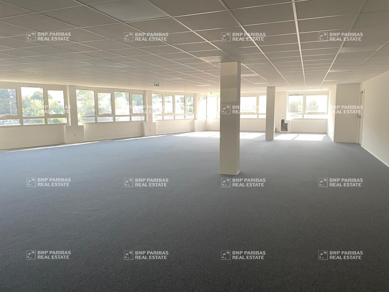Location Bureaux 300 m² divisibles 06110 Le cannet