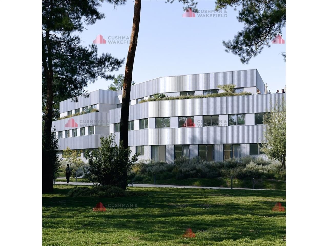 Cushman & Wakefield BOURGOGNE FRANCHE-COMTE vous 