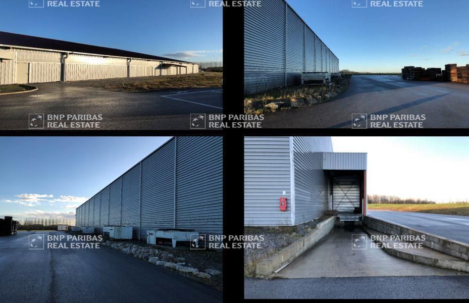 3713 m² pour ce activité en vente à Hastingues