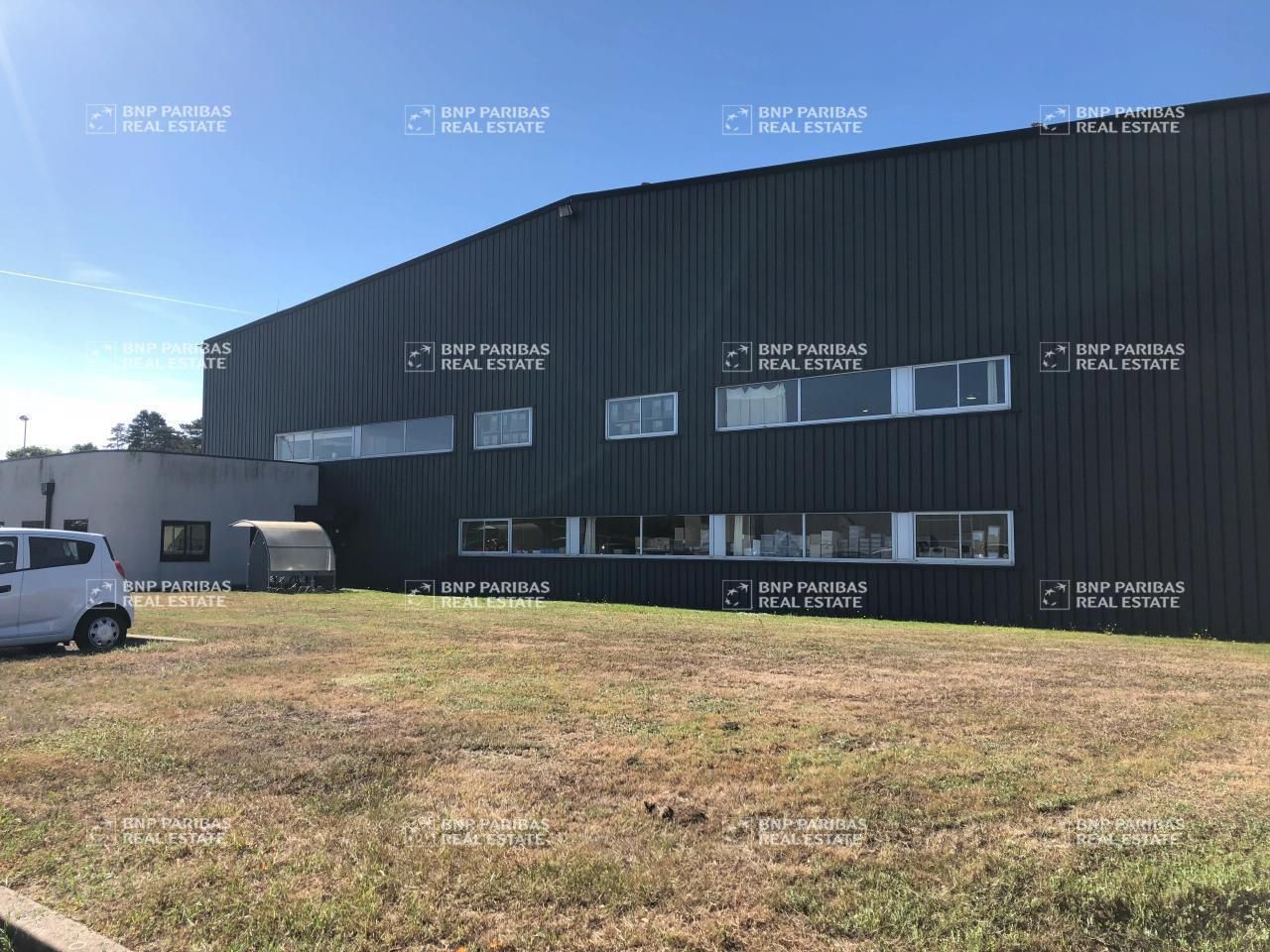 3930 m² pour ce activité en location à Saint andre de corcy