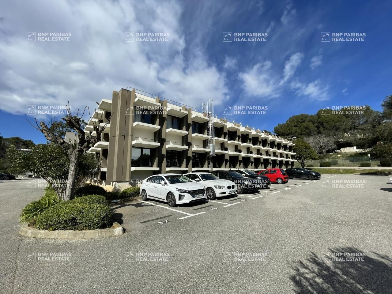 446 m² pour ce bureaux en location à Sophia antipolis