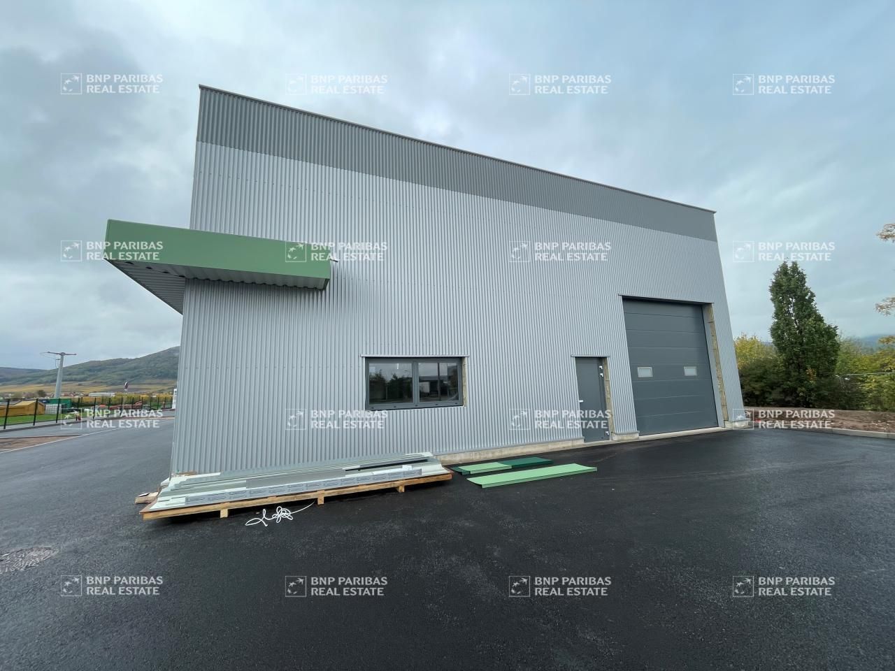 Vente Activité 270.5 m² non divisibles 67750 Scherwiller