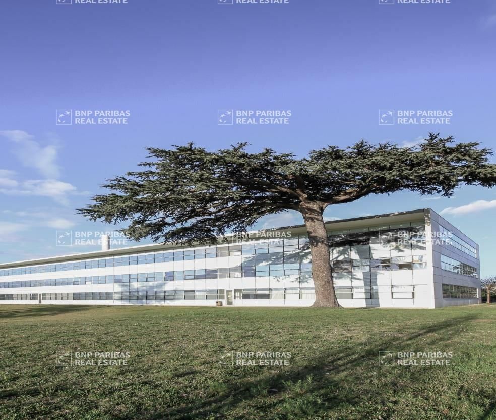 248.56 m² pour ce bureaux en location à Toulouse