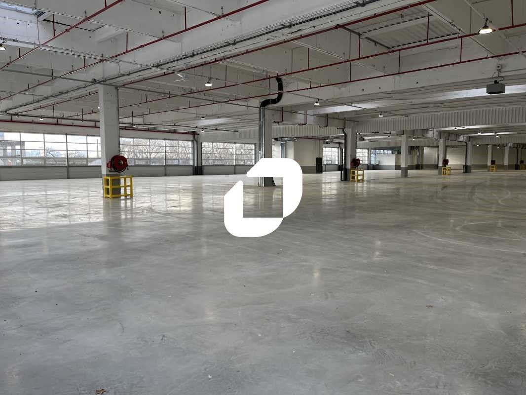 Entrepôt logistique et activité neuf avec la cert