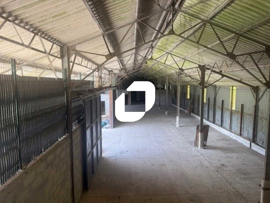 Immprove est ravi de mettre à votre disposition s